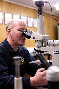A business feature on Henry Williams Ltd on Dodsworth Street in Darlington. Rob Waters makes a microscopic examination of stainless steel. Picture: CHRIS BOOTH